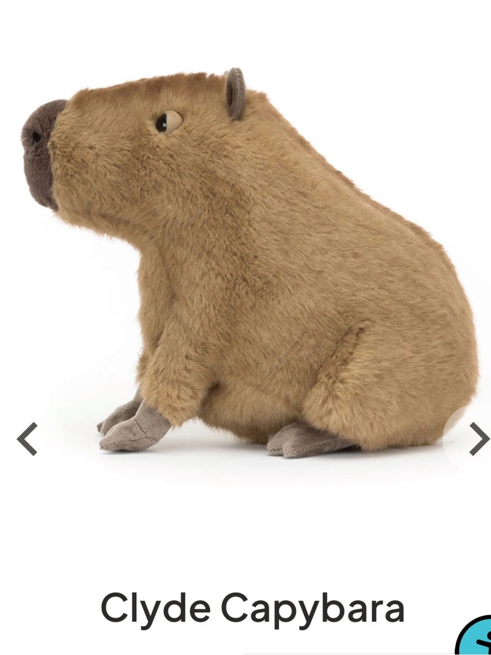 Jellycat Clyde Capybara - Picture 3 of 11